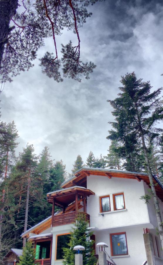 Вила Пенчеви, Кк. Цигов Чарк Exterior foto
